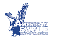 American Eagle Logo